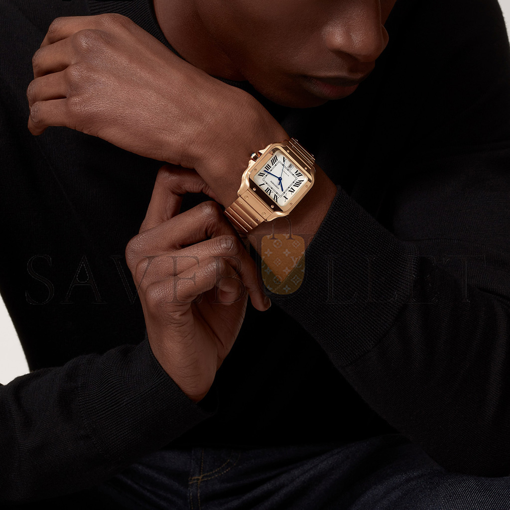 Ca*t*er santos de watch wgsa0018